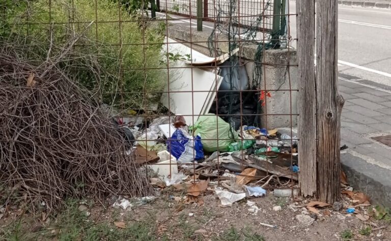 Salerno, mancata cura del verde pubblico: la denuncia del Codacons